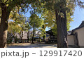 秋色の八坂神社ワイド写真 129917420