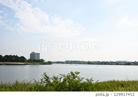 2025年8月22日の油ヶ淵 129917452