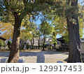 秋色の八坂神社 129917453