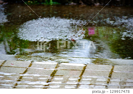 大雨の地面 129917478