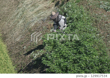 草刈り機で雑草を刈る風景 129917534