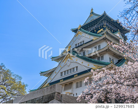 大阪城天守閣と桜と青空 129917685
