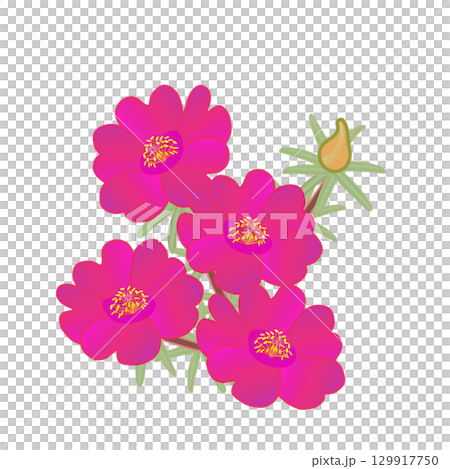 Illustration of a pine needle button 129917750