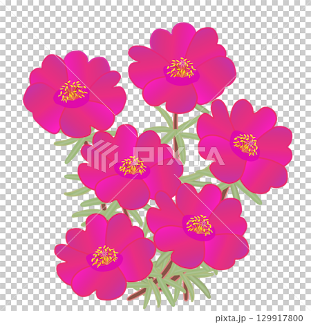 松針按鈕的插圖 129917800