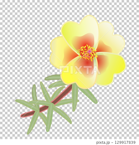 Illustration of a pine needle button Illustration of a pine needle button 129917839