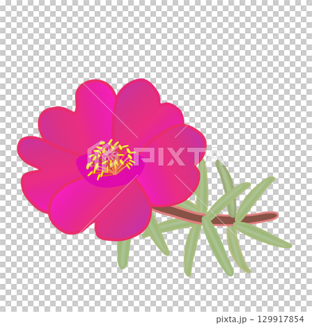 Illustration of a pine needle button Illustration of a pine needle button 129917854