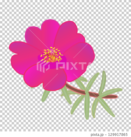 Illustration of a pine needle button Illustration of a pine needle button 129917865