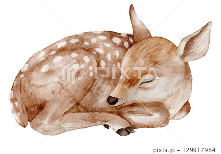 Sleeping Fawn painted in watercolor. Illustration of little deer for nursery posters or Baby shower greeting cards or invitations. Art of forest animal. Sketch of woodland cub for autumn design. 129917984
