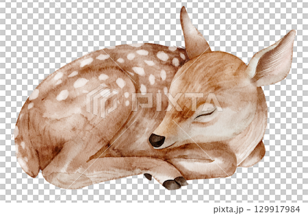 Sleeping Fawn painted in watercolor. Illustration of little deer for nursery posters or Baby shower greeting cards or invitations. Art of forest animal. Sketch of woodland cub for autumn design. 129917984