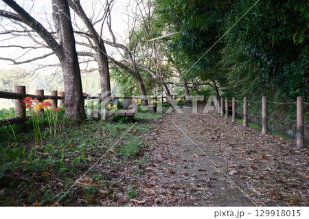 秋の関吉の疎水溝の風景 秋の関吉の疎水溝の風景 129918015