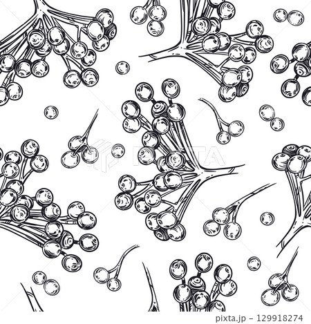 Seamless vector pattern of viburnum berries, viburnum bunches, all objects hand-drawn with ink. Vector illustration for printing on fabric, paper, packaging of goods and cosmetics. Vector illustration Seamless vector pattern of viburnum berries, viburnum bunches, all objects hand-drawn with ink. Vector illustration for printing on fabric, paper, packaging of goods and cosmetics. Vector illustration 129918274
