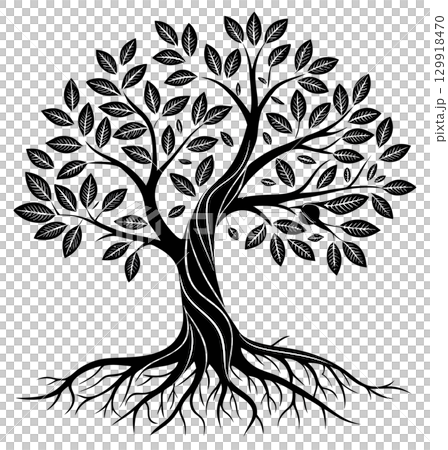 tree silhouette isolated on white background 129918470