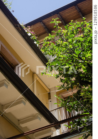 A vibrant tree with lush green leaves next to a residential balcony decorated with flowers, under a clear blue sky. Perfect urban summer lifestyle concept. High quality photo 129918586