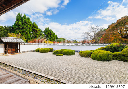 秋の京都　正伝寺　方丈庭園 129918707