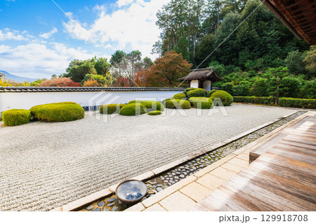 秋の京都 正伝寺 方丈庭園 秋の京都 正伝寺 方丈庭園 129918708