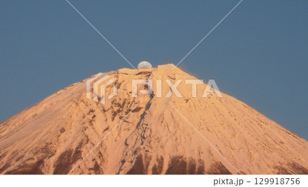 パール富士 P.1 129918756