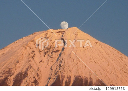 パール富士 P.3 129918758