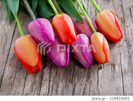 Beautiful tulips 129918991