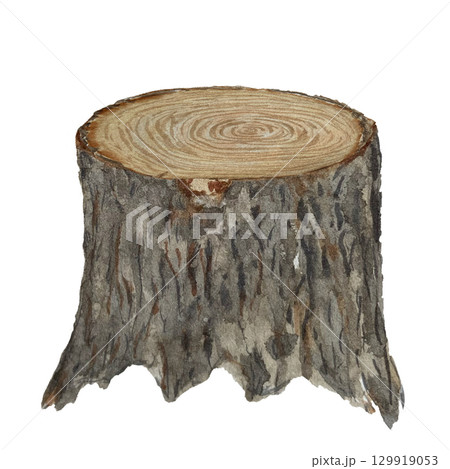 A tree stump, detailed bark and annual rings. Watercolor rustic illustration isolated on white perfect for forest-themed designs, eco projects, fairy tale compositions, children books, woodland 129919053