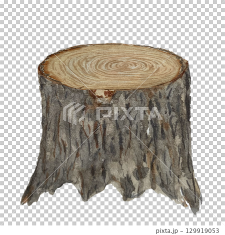 A tree stump, detailed bark and annual rings. Watercolor rustic illustration isolated on white perfect for forest-themed designs, eco projects, fairy tale compositions, children books, woodland A tree stump, detailed bark and annual rings. Watercolor rustic illustration isolated on white perfect for forest-themed designs, eco projects, fairy tale compositions, children books, woodland 129919053