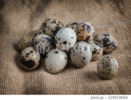 lot of quail eggs on sacking Close-up lot of quail eggs on sacking Close-up 129919068