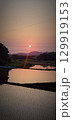 水田に映る夕日 129919153