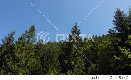 A sightseeing area A sightseeing area 129919387