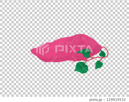 sweet potato with leaves 129919532