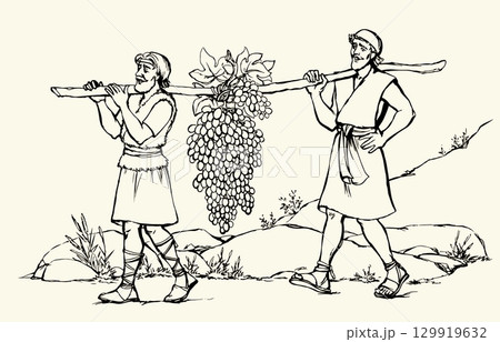 Vector drawing. Two men bear a grape. 129919632