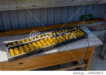 大きなそろばん 129919672