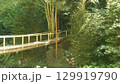 A bridge in the mountain forest  129919790