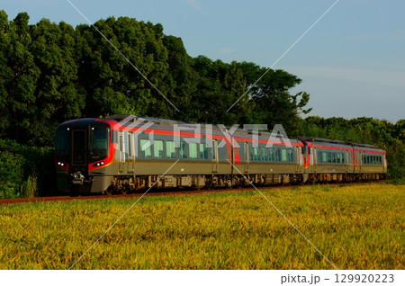 晩夏の田園風景 2600系・特急うずしお 晩夏の田園風景 2600系・特急うずしお 129920223