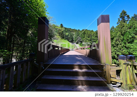 武蔵国「八王子城」現在の曲輪などの様子 129920254