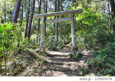 武蔵国「八王子城」現在の曲輪などの様子 129920276