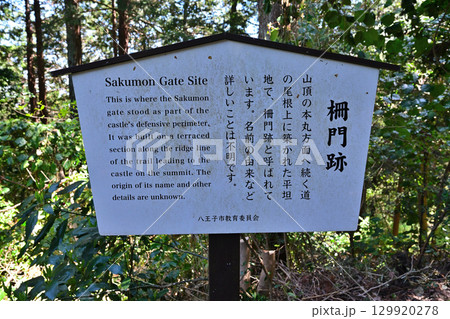 武蔵国「八王子城」現在の曲輪などの様子 129920278