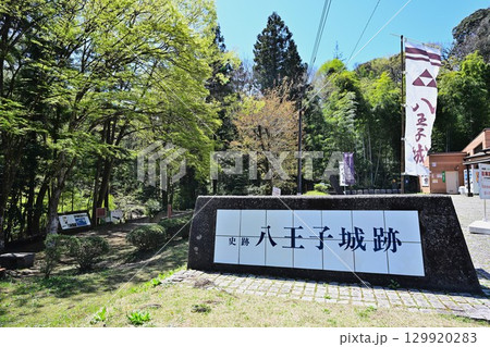 武蔵国「八王子城」現在の曲輪などの様子 129920283