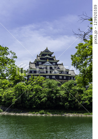 岡山城と旭川　岡山県岡山市 129920389