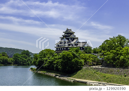 岡山城と旭川　岡山県岡山市 129920390