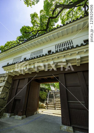 岡山城　廊下門　岡山県岡山市 129920406