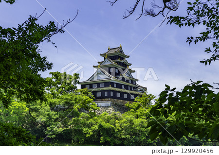 岡山城　岡山県岡山市 129920456