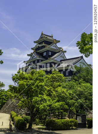 岡山城　岡山県岡山市 129920457