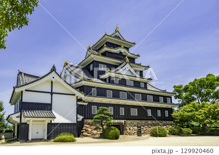 岡山城　岡山県岡山市 129920460