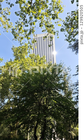 Tall skyscraper shining in the sun seen through dense green foliage of park trees Tall skyscraper shining in the sun seen through dense green foliage of park trees 129920505