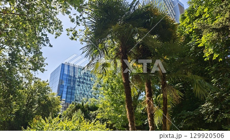 Modern glass building partially hidden behind tropical palm trees and dense park greenery. Concept of eco-urban harmony, modern architecture meeting exotic nature Modern glass building partially hidden behind tropical palm trees and dense park greenery. Concept of eco-urban harmony, modern architecture meeting exotic nature 129920506