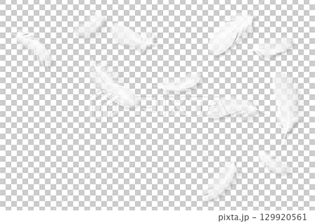 11 根白色鳥羽，有陰影 129920561