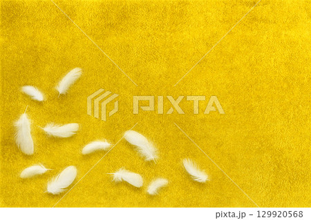 金箔を背景に、ふわふわと舞い飛ぶ白い鳥の羽 129920568