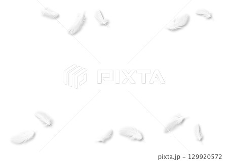 白い鳥の羽、影付き切抜き素材11点 白い鳥の羽、影付き切抜き素材11点 129920572