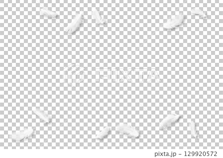 白い鳥の羽、影付き切抜き素材11点 白い鳥の羽、影付き切抜き素材11点 129920572