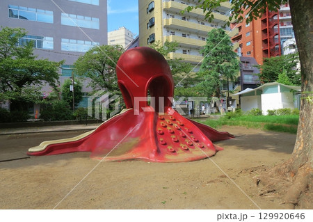 夏の朝の恵比寿東公園　東京 129920646