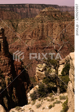 Sunset Hazy Sky Day At The Grand Canyon Arizona 129920907